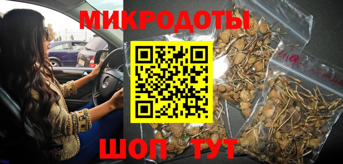 Галлюциногенные грибы Psilocybine cubensis  Вход с VPN  Корсаков 